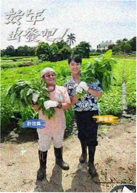 枸杞干果标本鉴定图